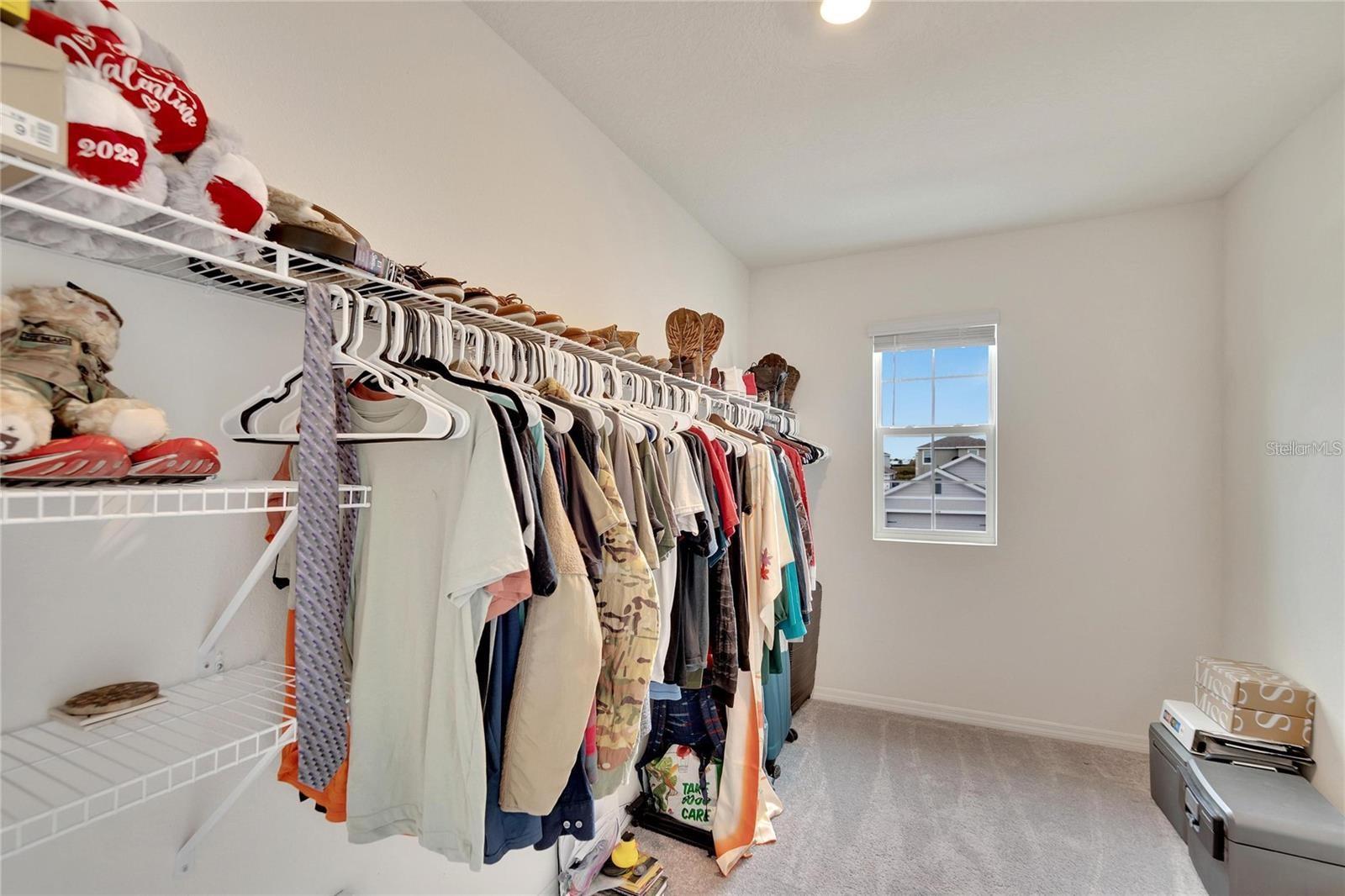 17029 BLISTER WING DR, WIMAUMA, FL, 33598