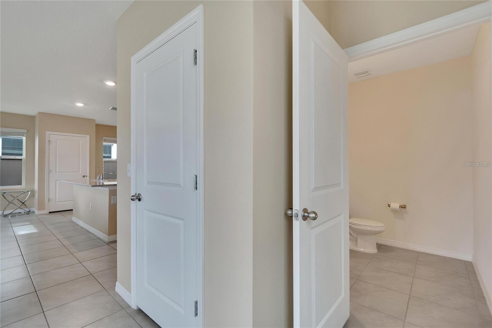 17029 BLISTER WING DR, WIMAUMA, FL, 33598