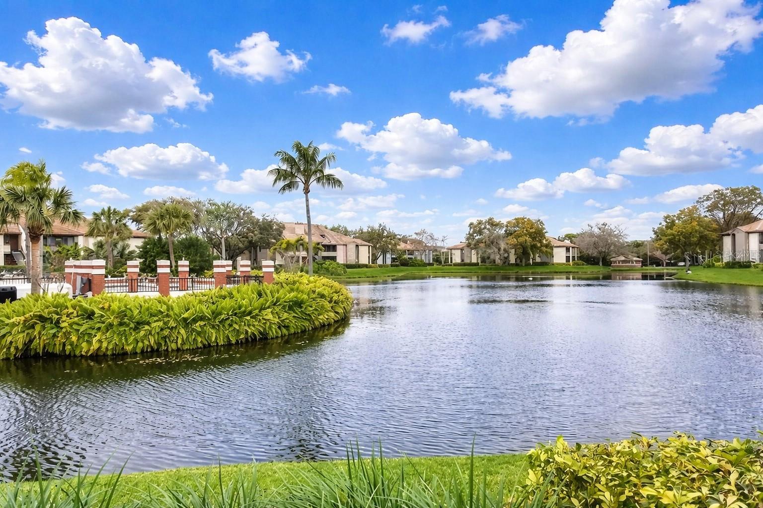 10265 GANDY BLVD N #907, ST PETERSBURG, FL, 33702