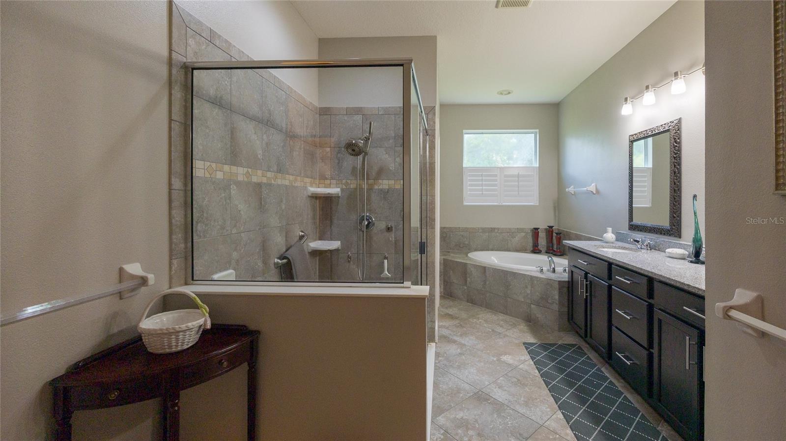 22564 CHEROKEE ROSE PL, LAND O LAKES, FL, 34639