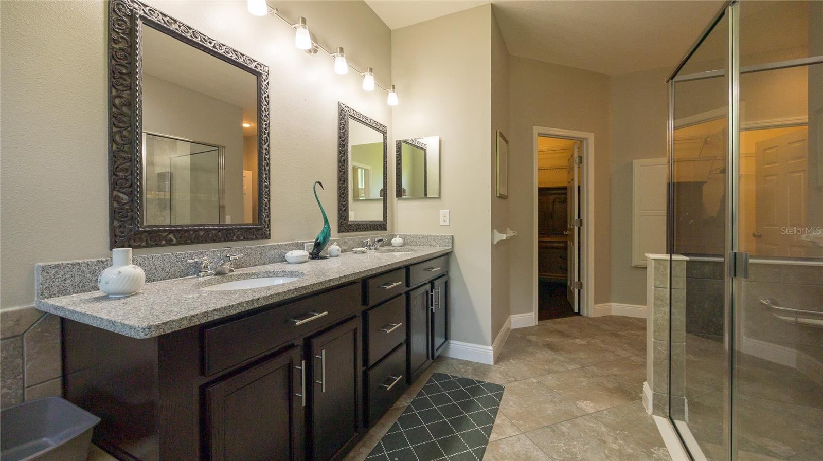 22564 CHEROKEE ROSE PL, LAND O LAKES, FL, 34639