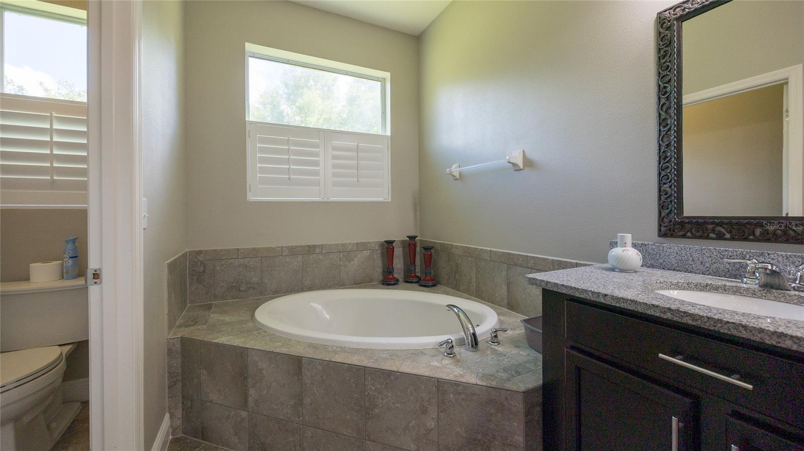 22564 CHEROKEE ROSE PL, LAND O LAKES, FL, 34639