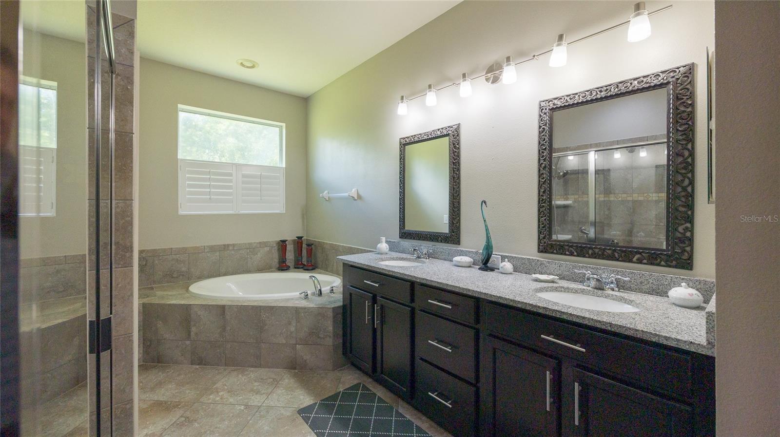 22564 CHEROKEE ROSE PL, LAND O LAKES, FL, 34639