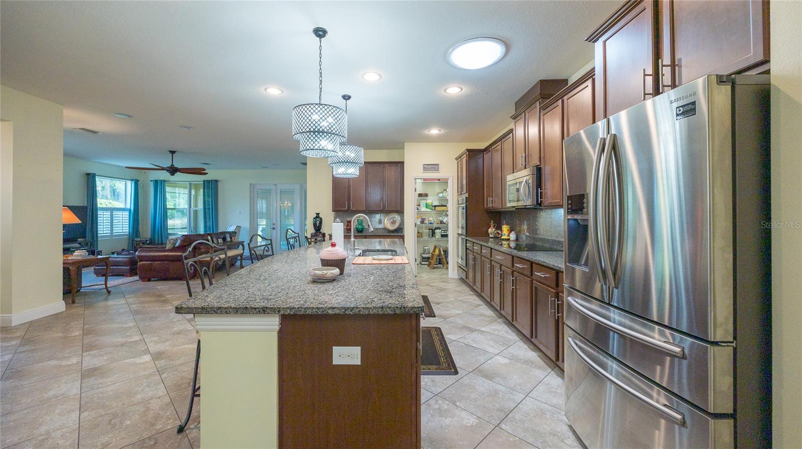 22564 CHEROKEE ROSE PL, LAND O LAKES, FL, 34639