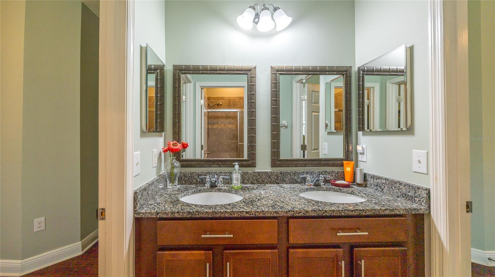 22564 CHEROKEE ROSE PL, LAND O LAKES, FL, 34639