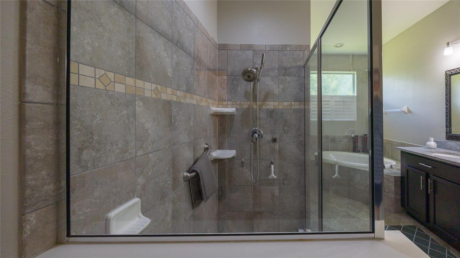 22564 CHEROKEE ROSE PL, LAND O LAKES, FL, 34639