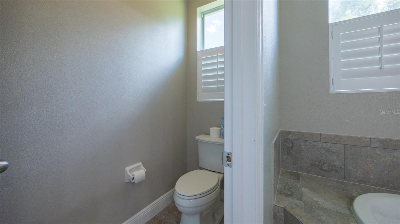 22564 CHEROKEE ROSE PL, LAND O LAKES, FL, 34639