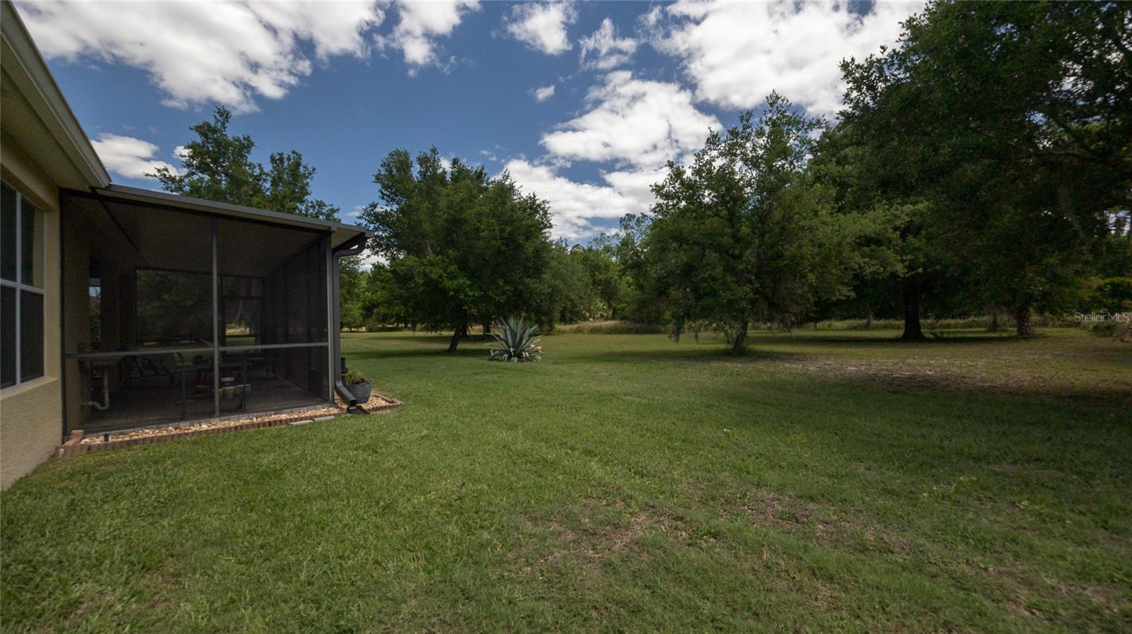22564 CHEROKEE ROSE PL, LAND O LAKES, FL, 34639