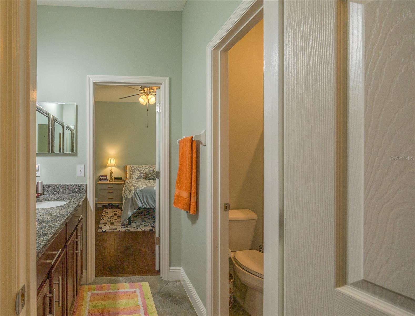 22564 CHEROKEE ROSE PL, LAND O LAKES, FL, 34639