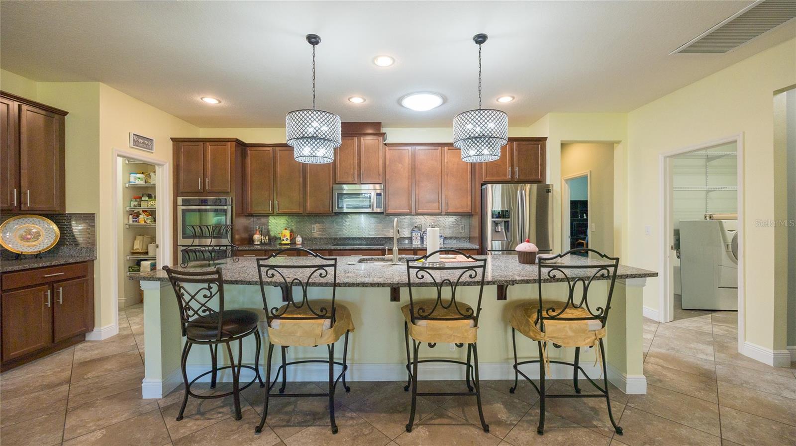 22564 CHEROKEE ROSE PL, LAND O LAKES, FL, 34639