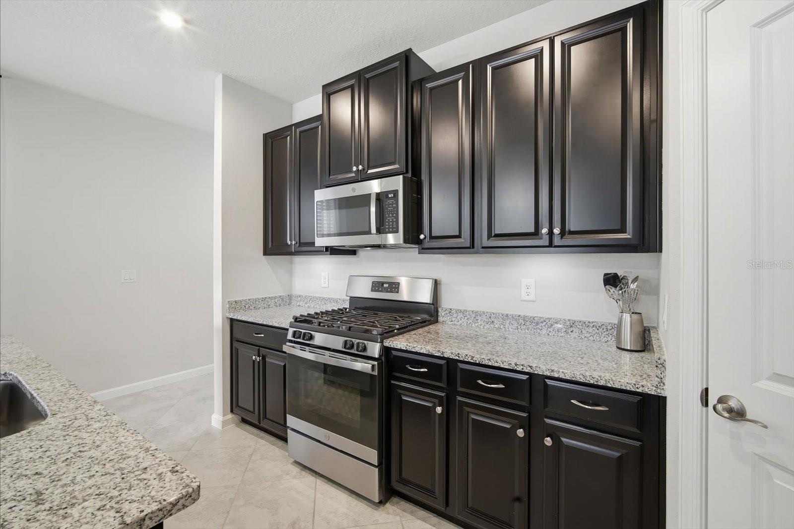 12261 BLUE PACIFIC DR, RIVERVIEW, FL, 33579