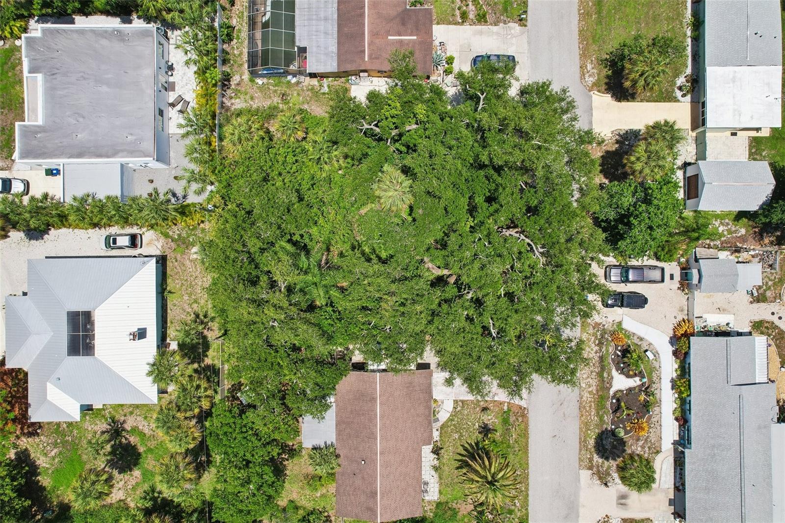 AVALON RD, VENICE, FL, 34293