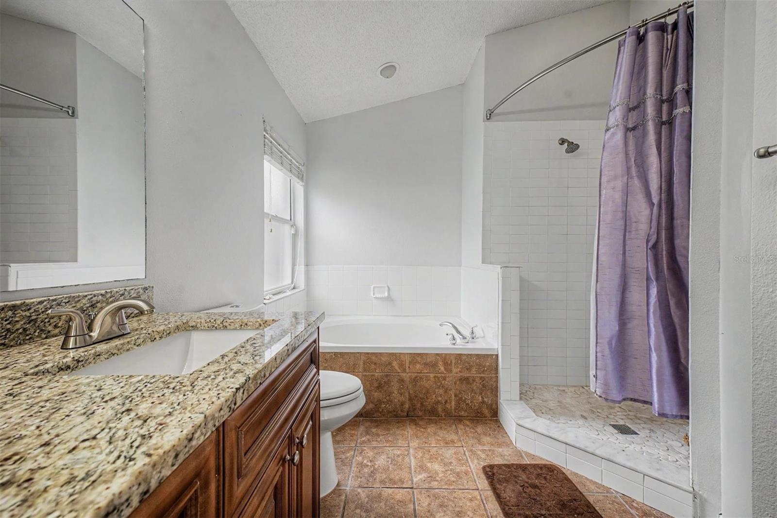 10238 CHARLESTON CORNER RD, TAMPA, FL, 33635