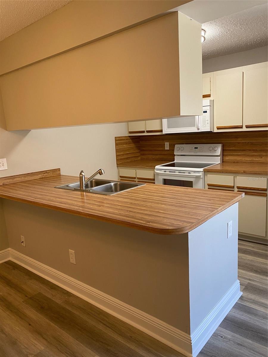 1004 ROYAL OAK BLVD, LEESBURG, FL, 34748