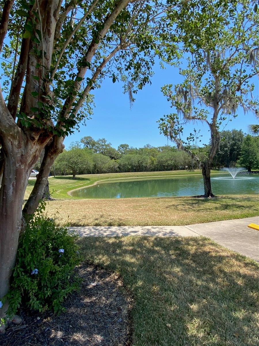 1004 ROYAL OAK BLVD, LEESBURG, FL, 34748