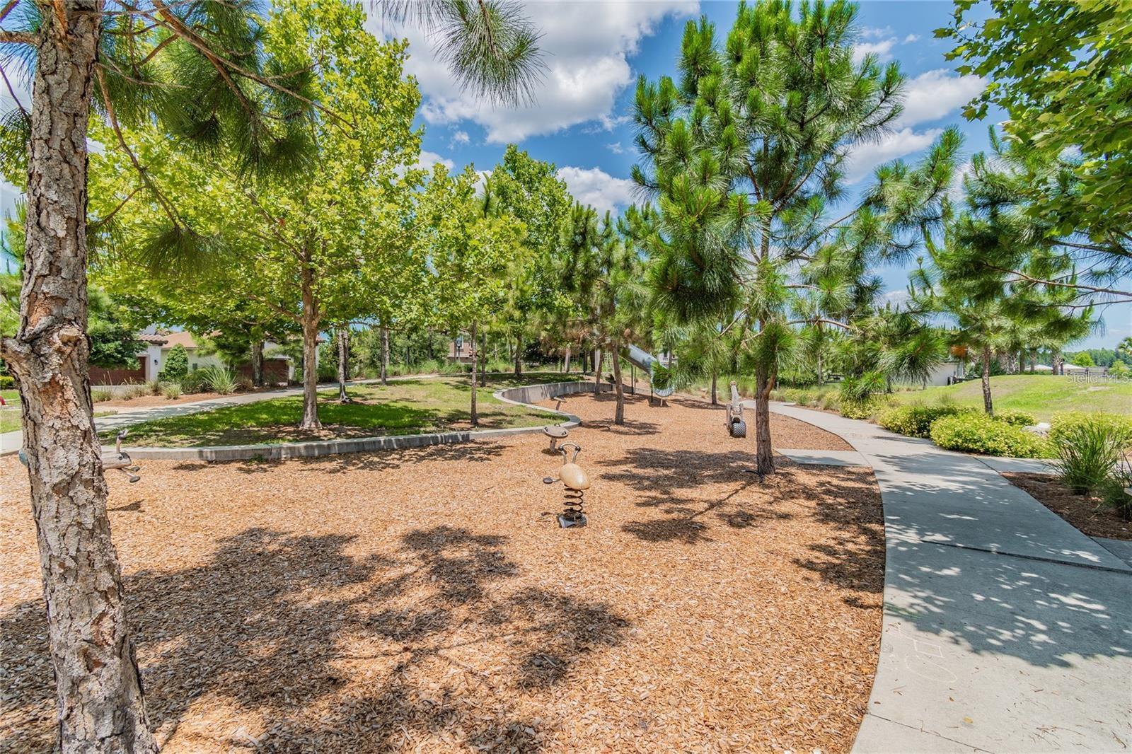 3231 HEART PINE AVE, ODESSA, FL, 33556