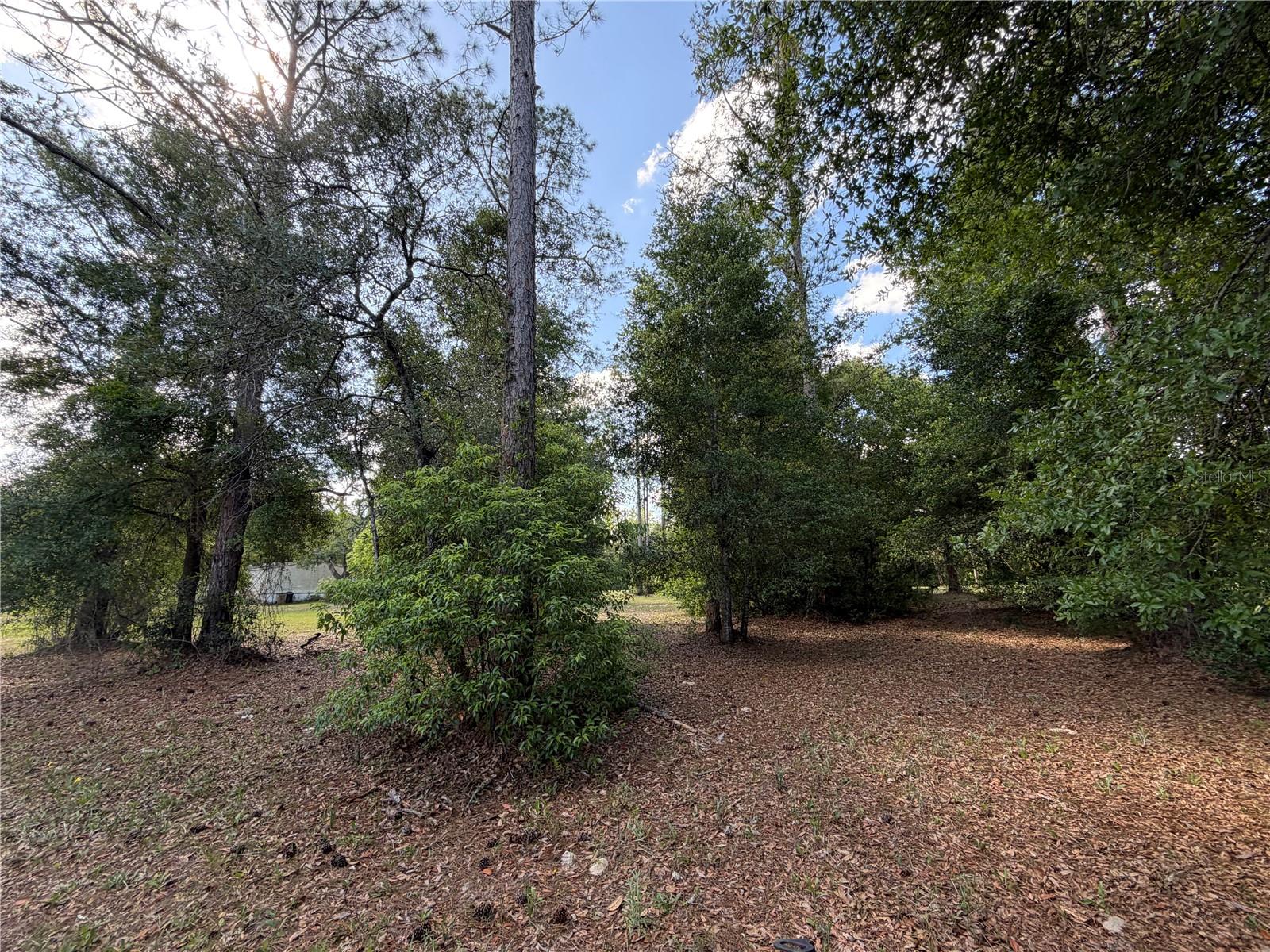 30842 ROUND LAKE RD, MOUNT DORA, FL, 32757