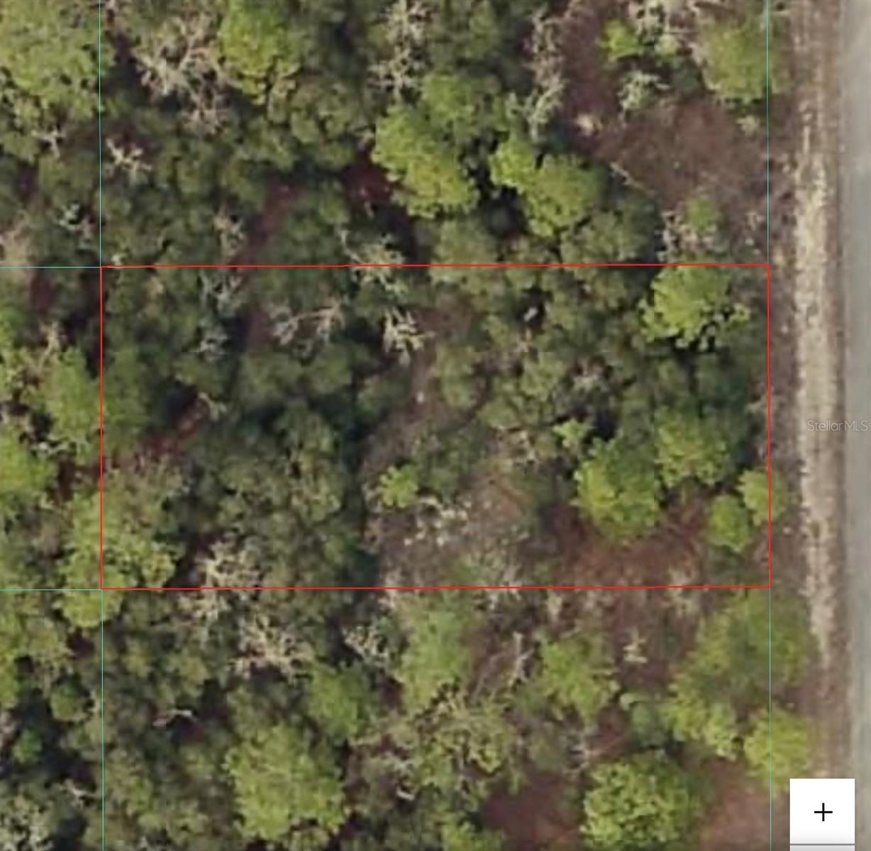 TBD SW SEAWEED AVE, DUNNELLON, FL, 34431