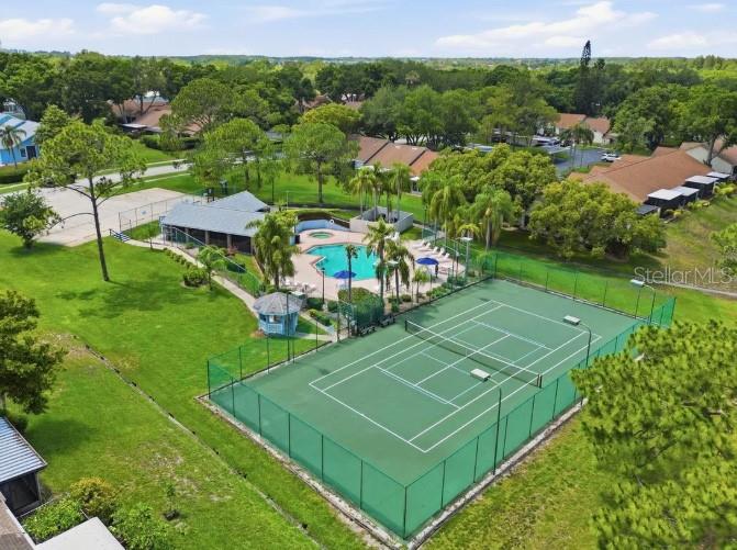 2461 BENTLEY DR, PALM HARBOR, FL, 34684