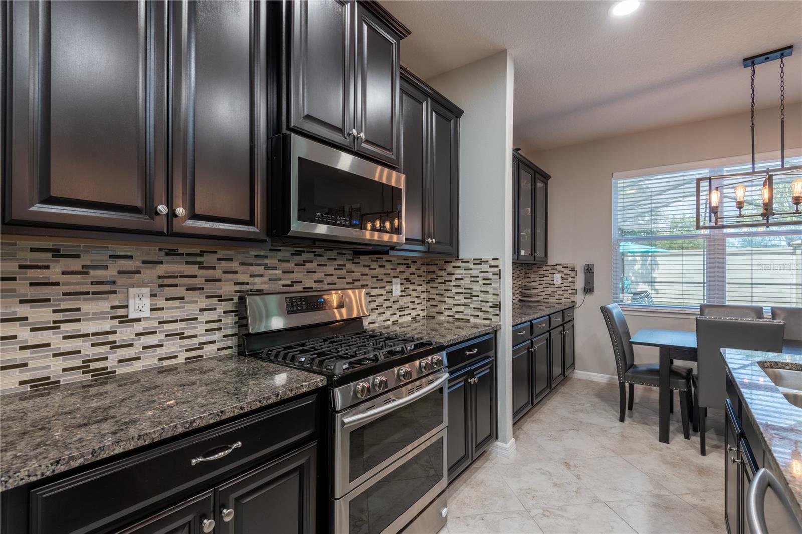 11862 LAKE LUCAYA DR, RIVERVIEW, FL, 33579