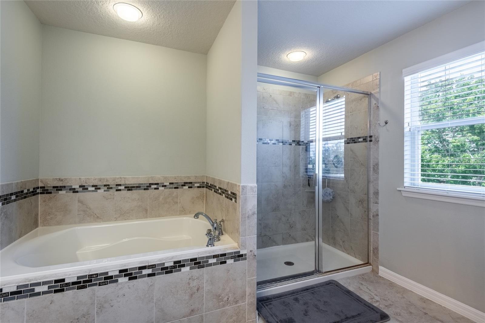 11862 LAKE LUCAYA DR, RIVERVIEW, FL, 33579