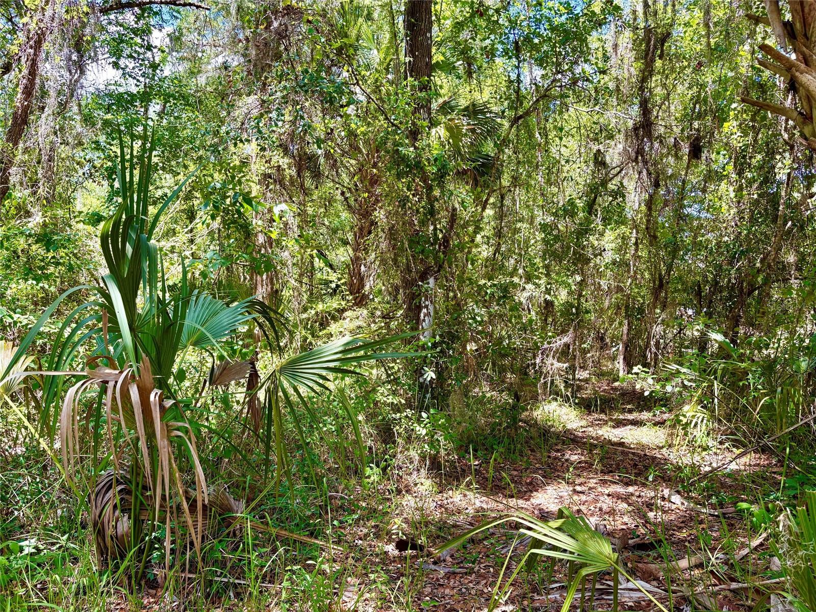 OLD CRYSTAL RIVER RD, BROOKSVILLE, FL, 34601