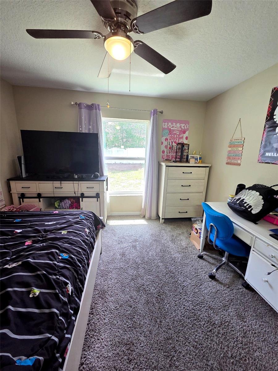5434 PARNELL AVE, SPRING HILL, FL, 34608
