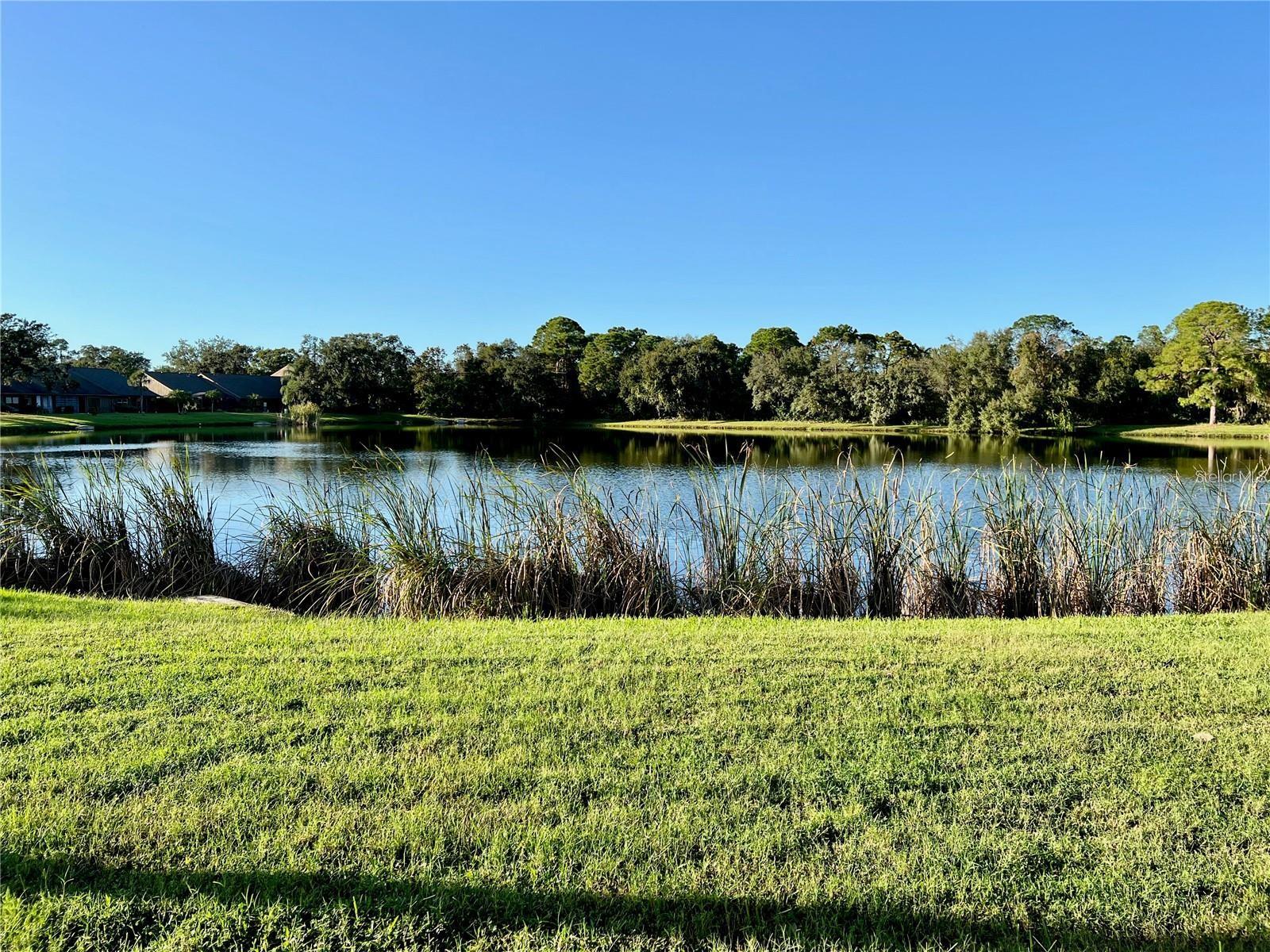 7186 LAKESIDE DR, SARASOTA, FL, 34243