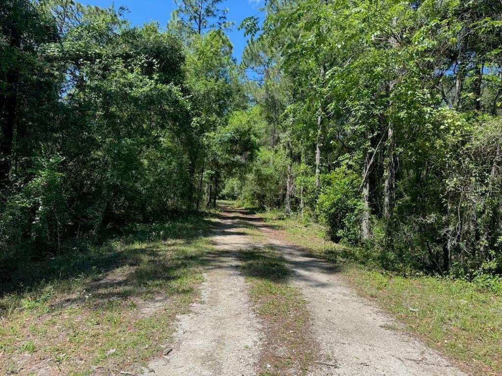 CITADEL DR, WEBSTER, FL, 33597