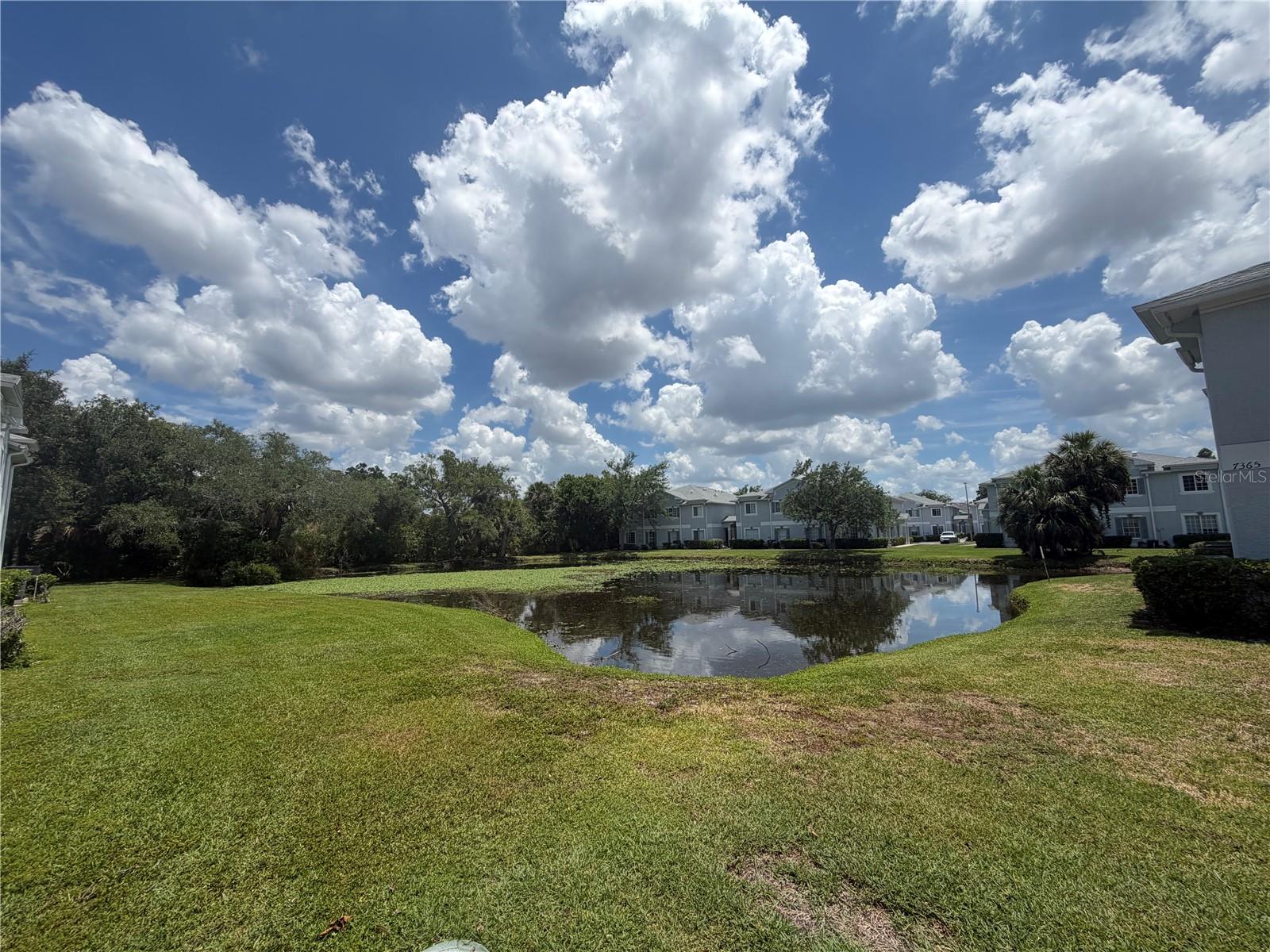 4105 WATERSIDE ISLAND CT, TAMPA, FL, 33617