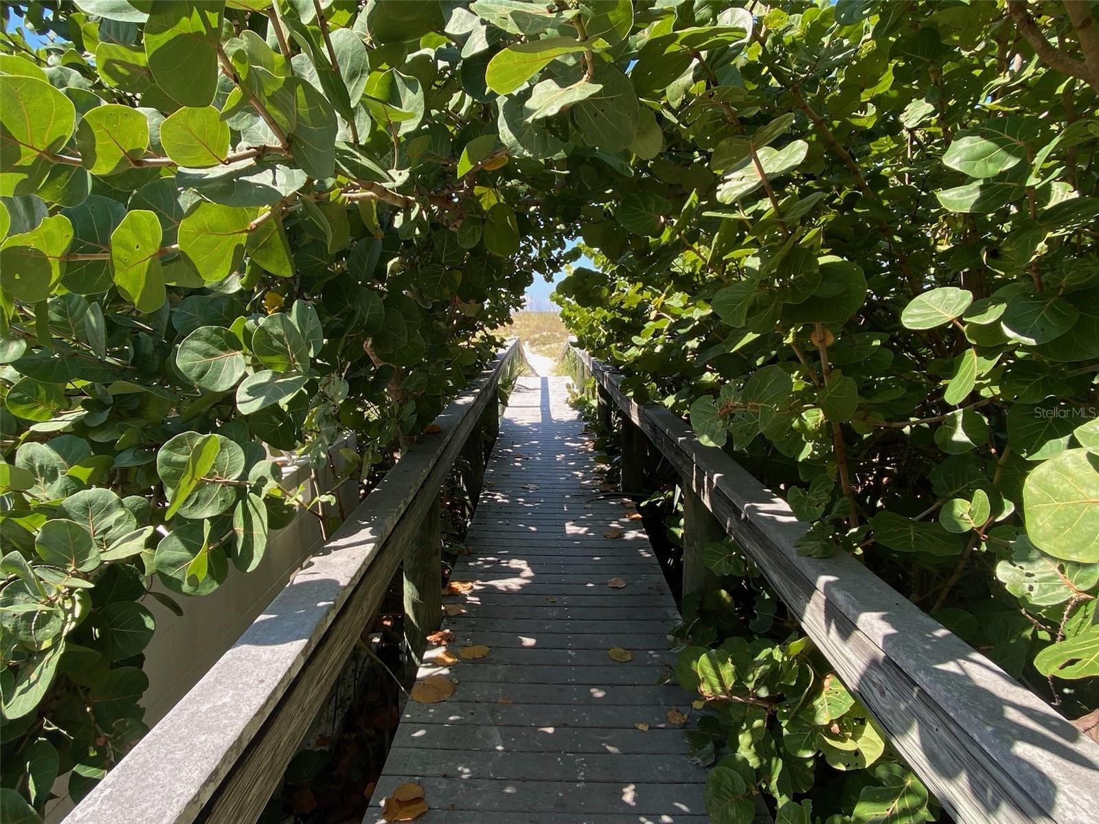 6700 SUNSET WAY #206, ST PETE BEACH, FL, 33706