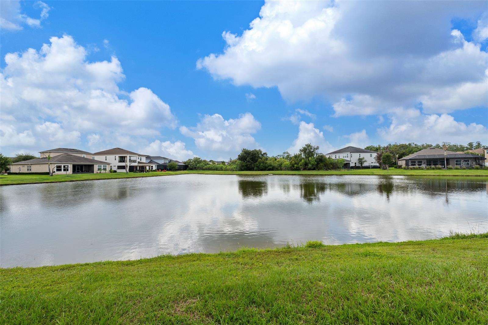 33164 KATELAND DR, WESLEY CHAPEL, FL, 33545