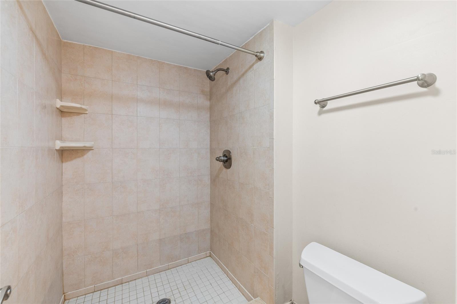 10360 CARROLLWOOD LN #212, TAMPA, FL, 33618