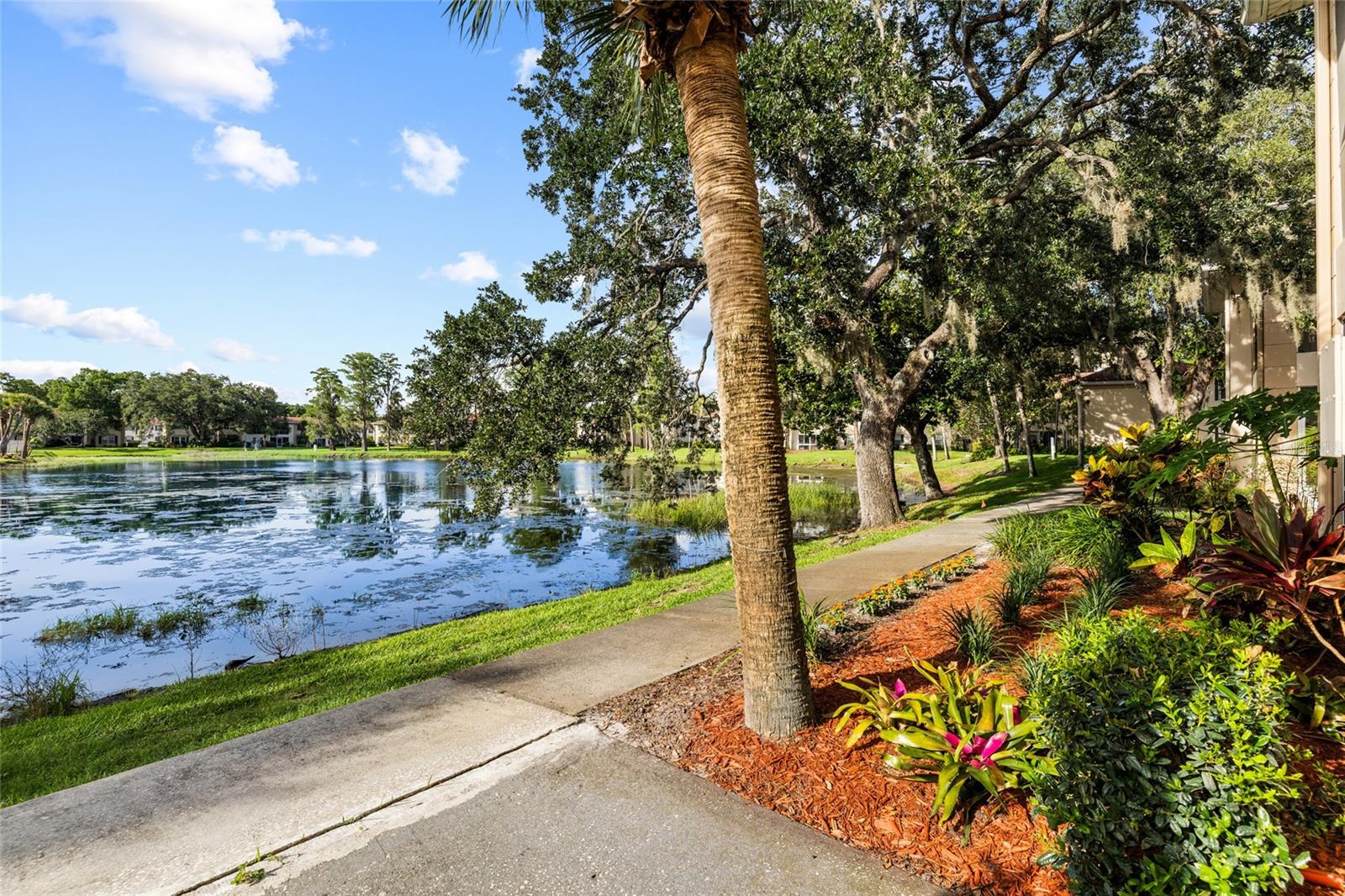 10360 CARROLLWOOD LN #212, TAMPA, FL, 33618