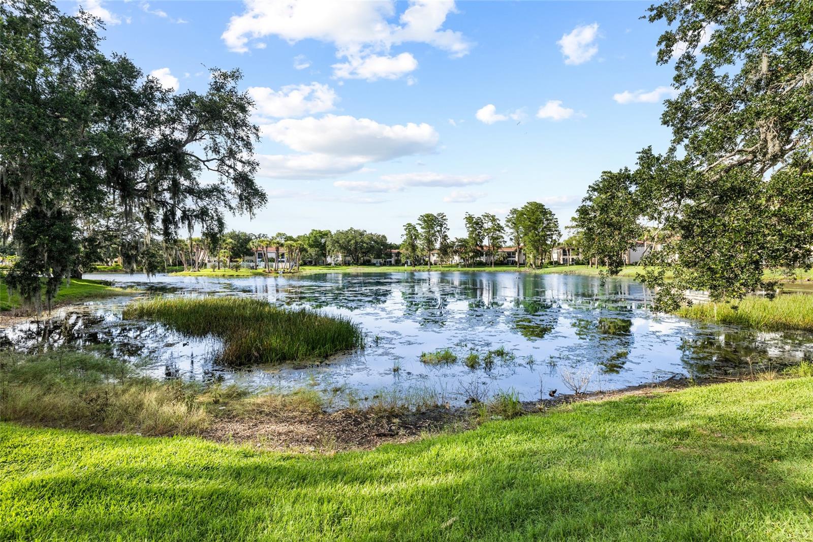 10360 CARROLLWOOD LN #212, TAMPA, FL, 33618