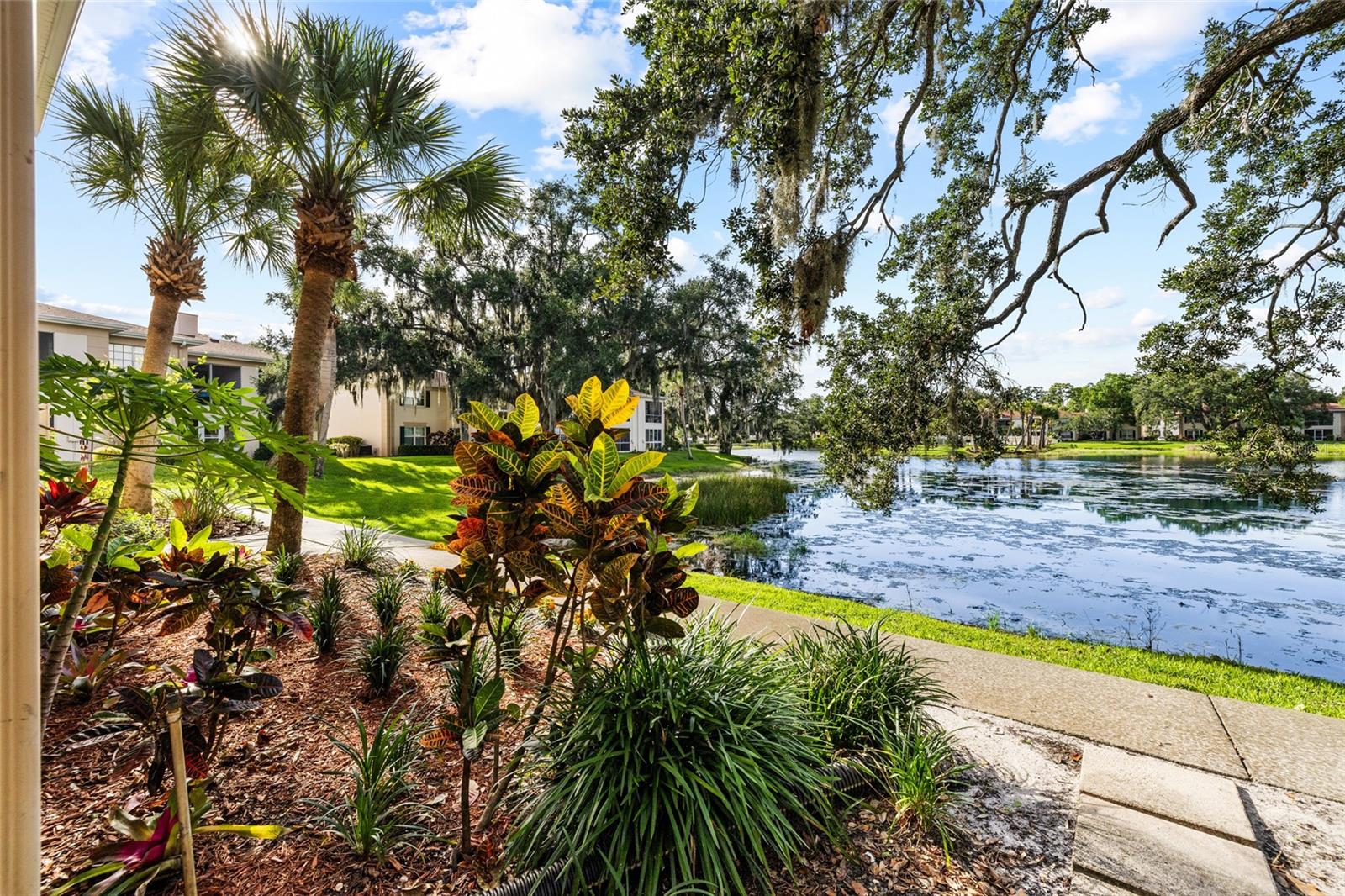 10360 CARROLLWOOD LN #212, TAMPA, FL, 33618