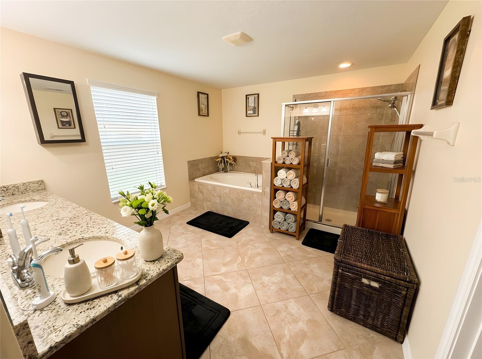 12109 ECHO BASIN CV, RIVERVIEW, FL, 33579