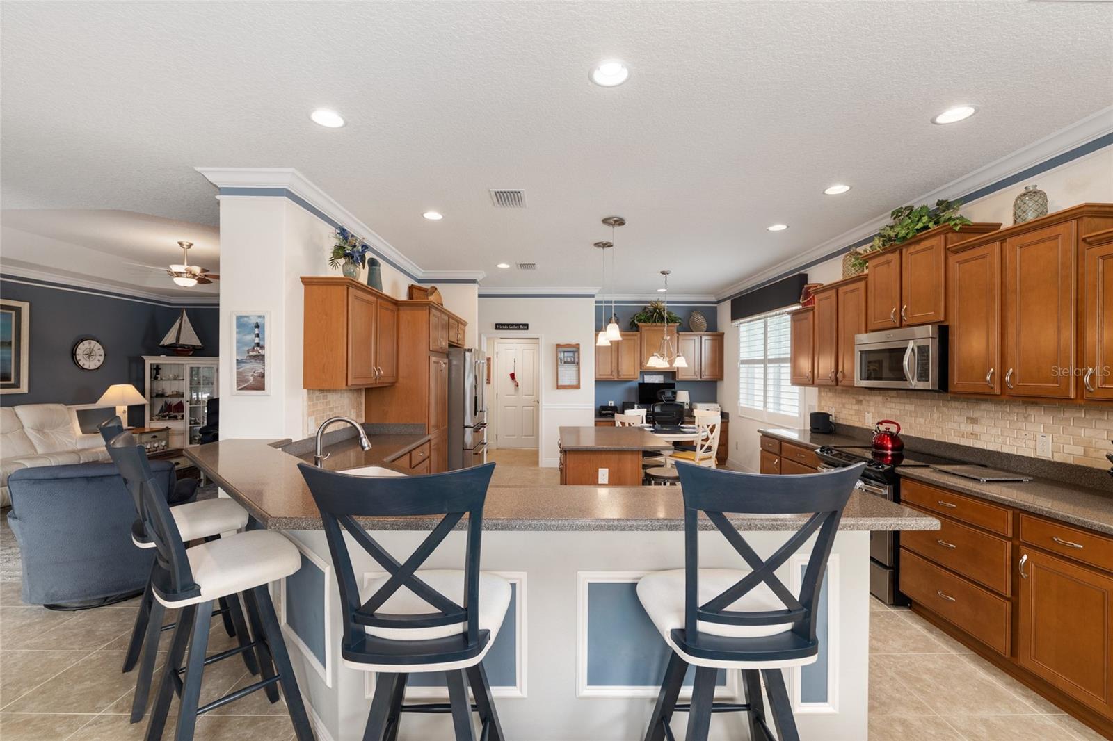 2993 RAINSONG AVE, THE VILLAGES, FL, 32163