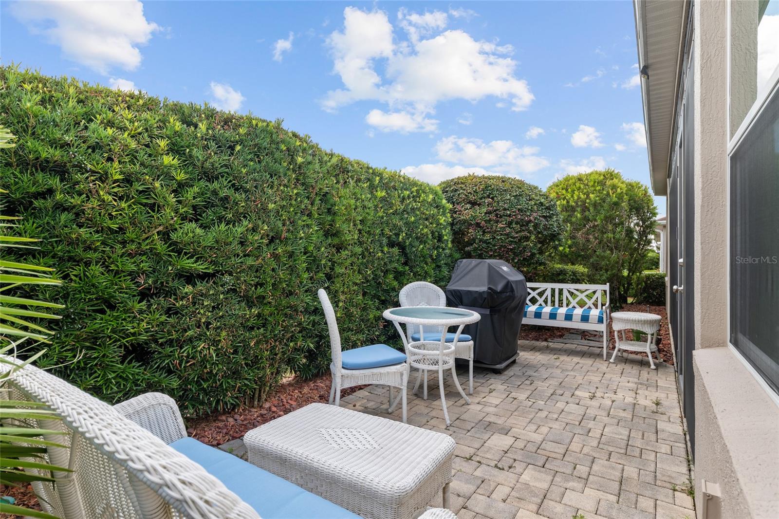 2993 RAINSONG AVE, THE VILLAGES, FL, 32163