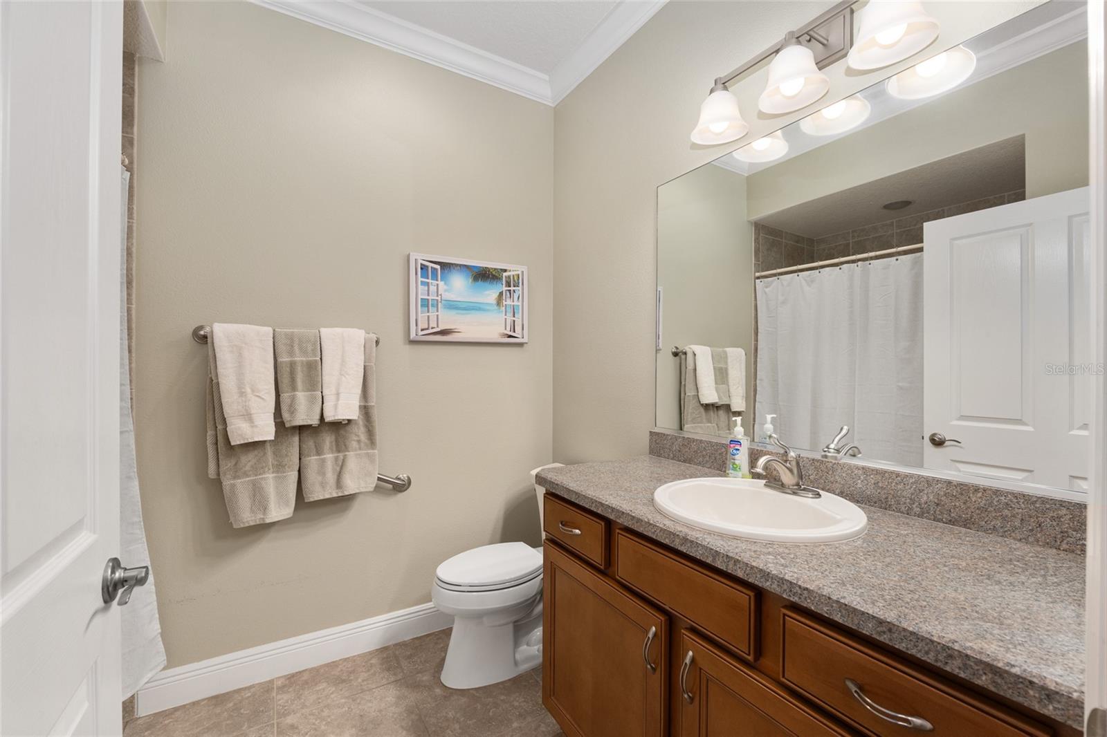 2993 RAINSONG AVE, THE VILLAGES, FL, 32163