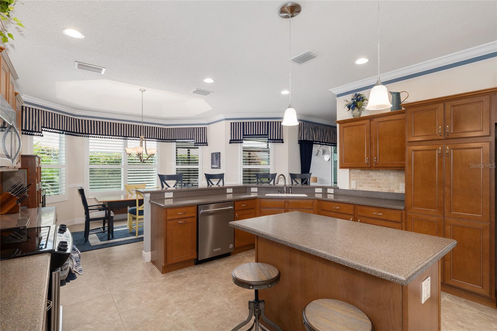 2993 RAINSONG AVE, THE VILLAGES, FL, 32163