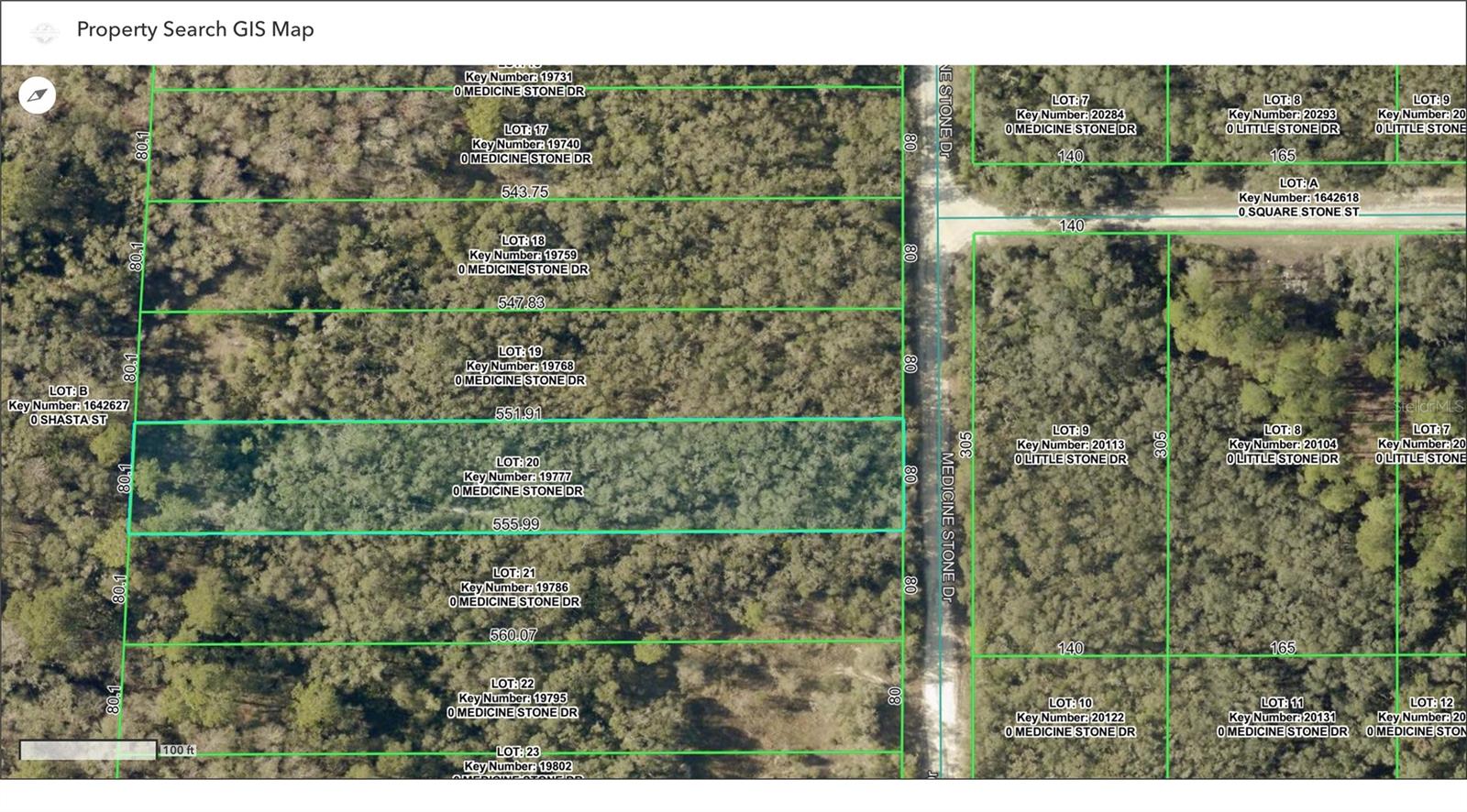 TBD MEDICINE STONE DR, WEBSTER, FL, 33597
