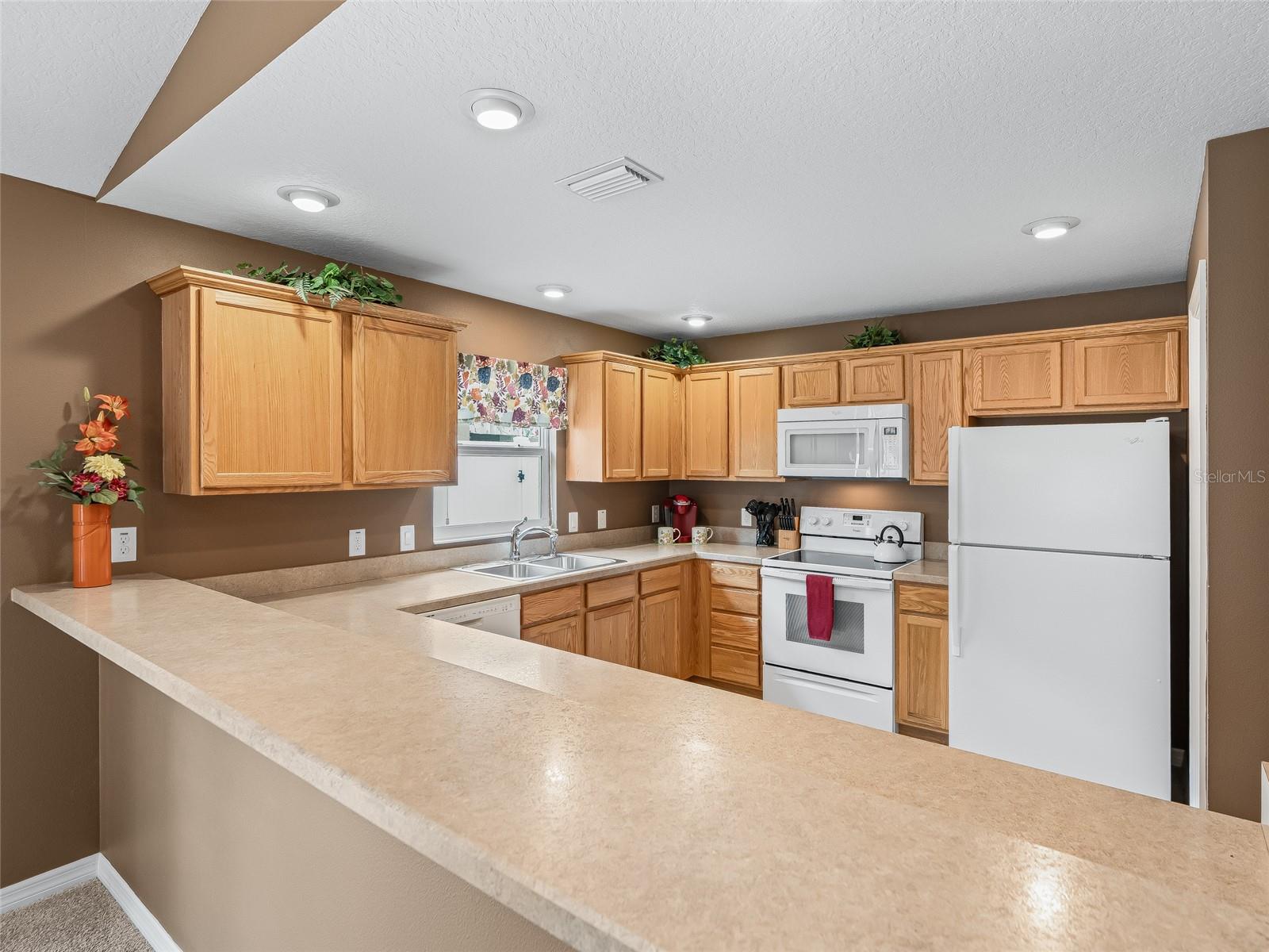 1109 TIPTON LN, THE VILLAGES, FL, 32163