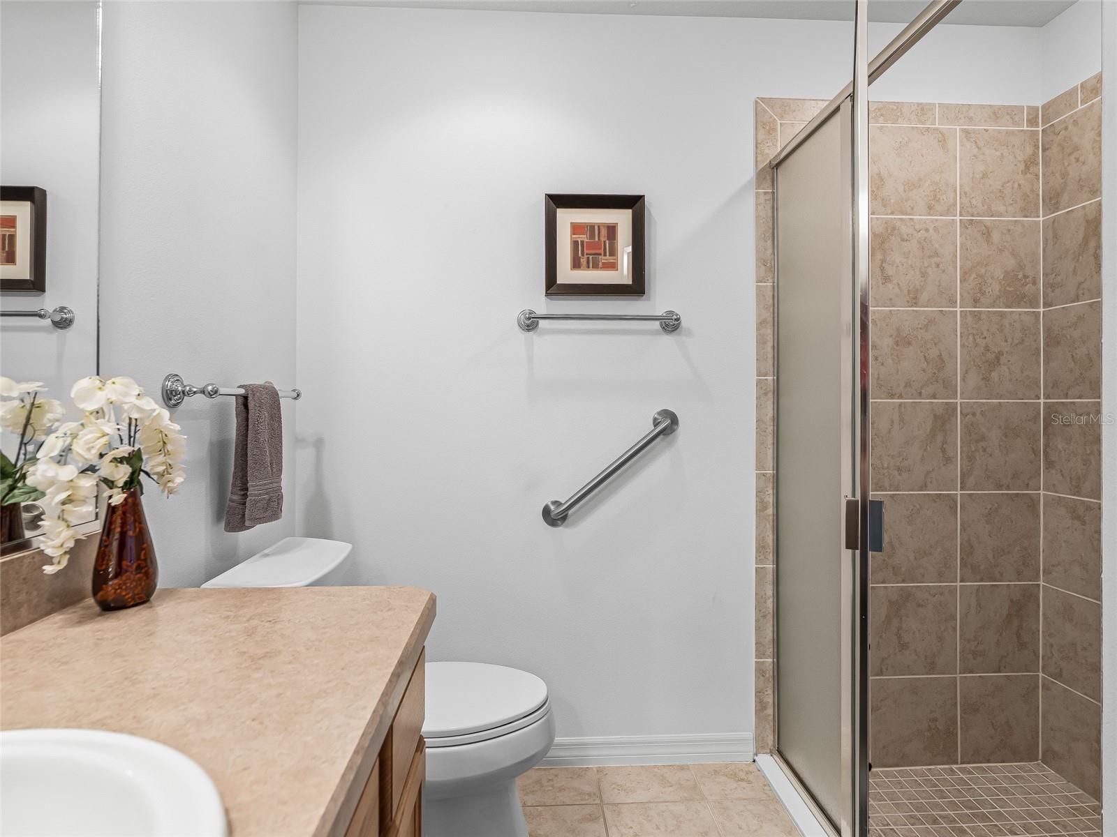1109 TIPTON LN, THE VILLAGES, FL, 32163
