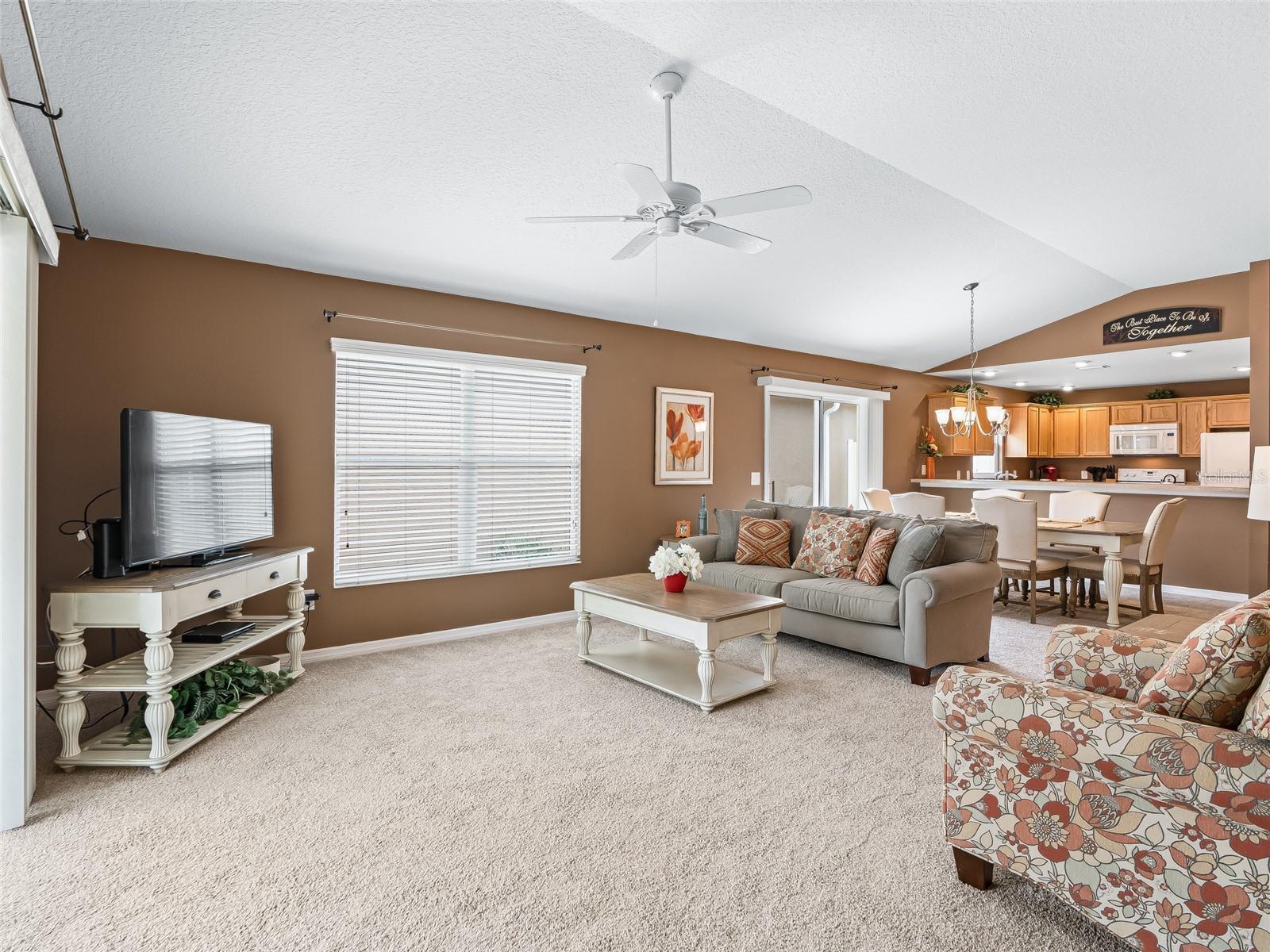 1109 TIPTON LN, THE VILLAGES, FL, 32163