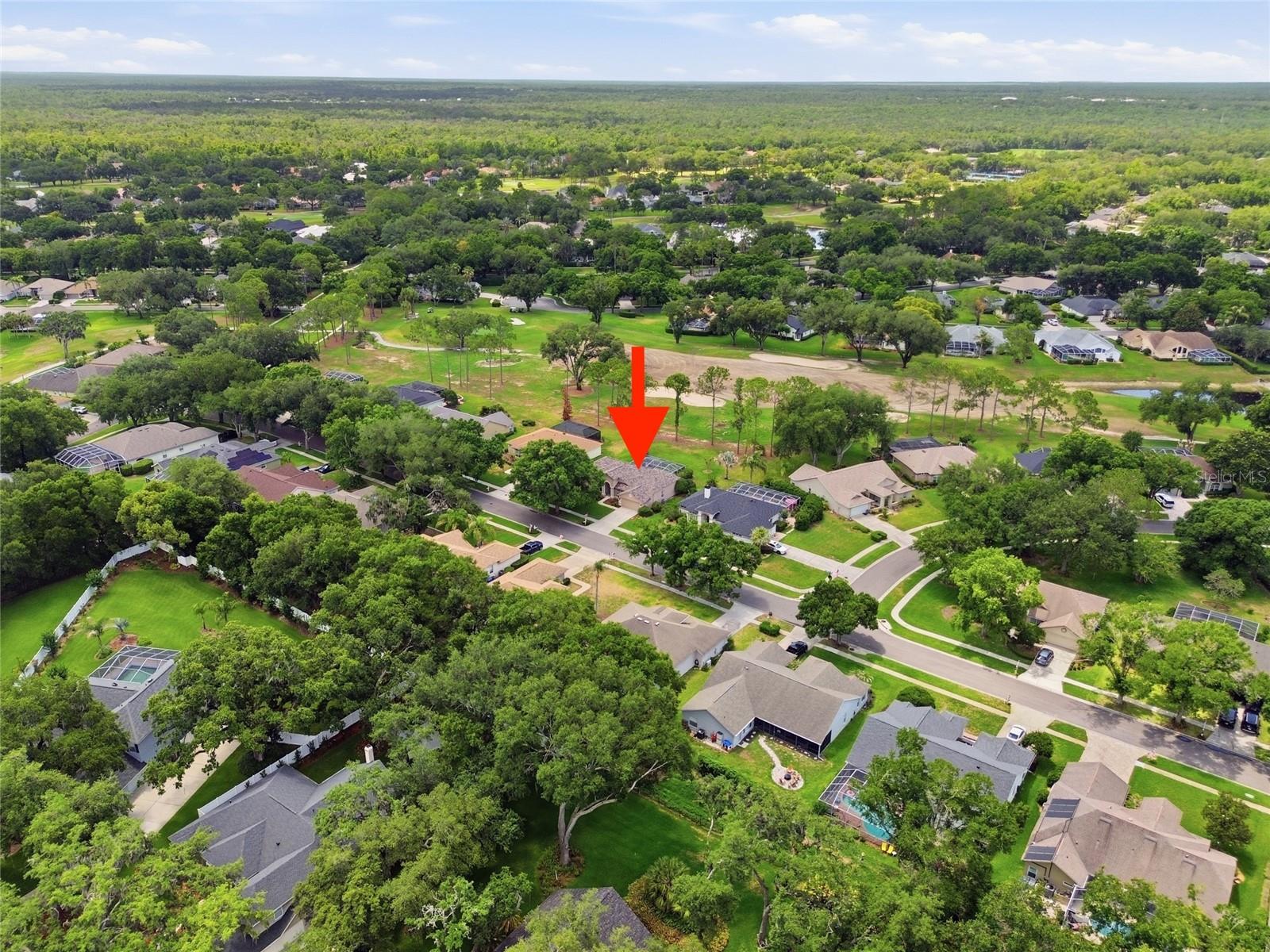 4941 WILLOW RIDGE TER, VALRICO, FL, 33596