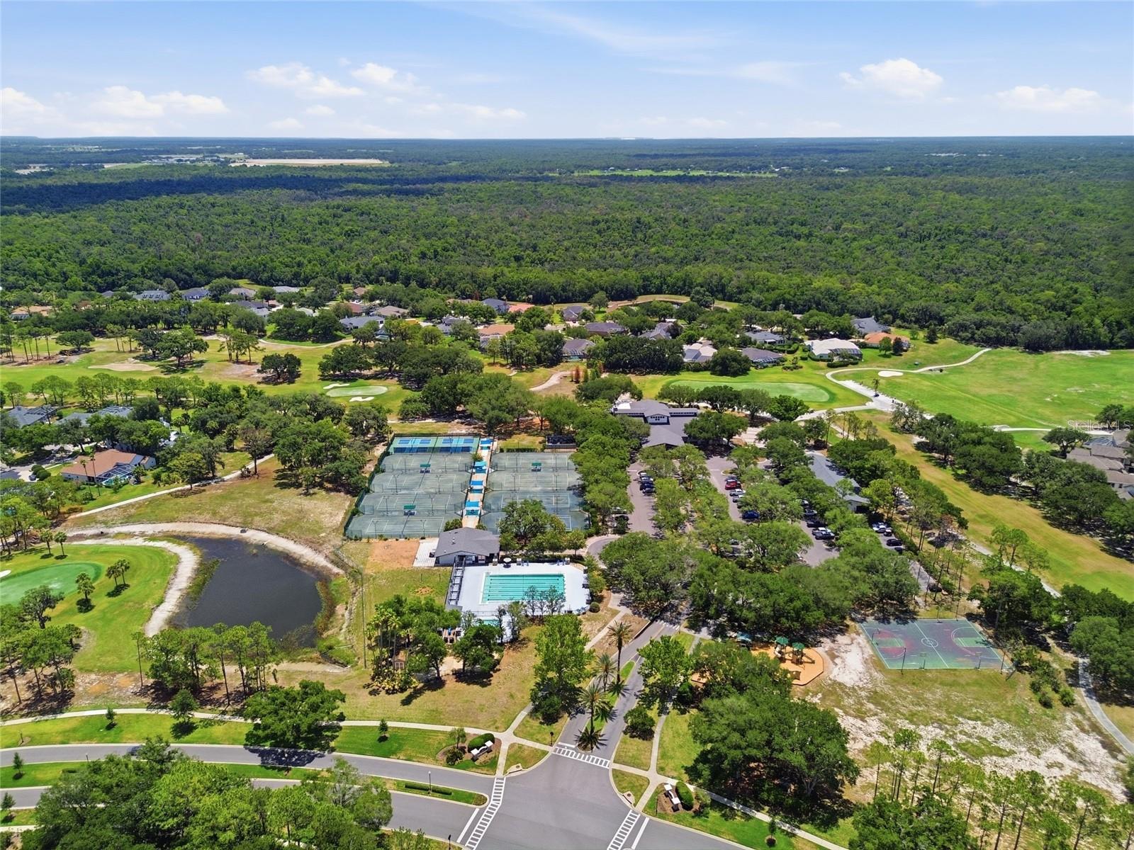 4941 WILLOW RIDGE TER, VALRICO, FL, 33596