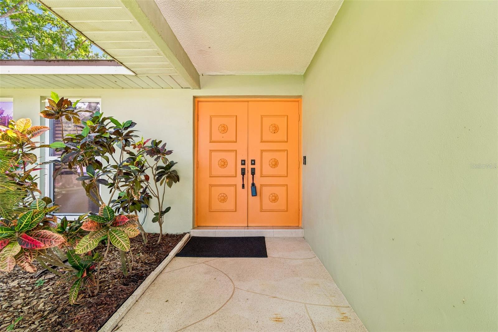 515 SANDY HOOK RD, PALM HARBOR, FL, 34683