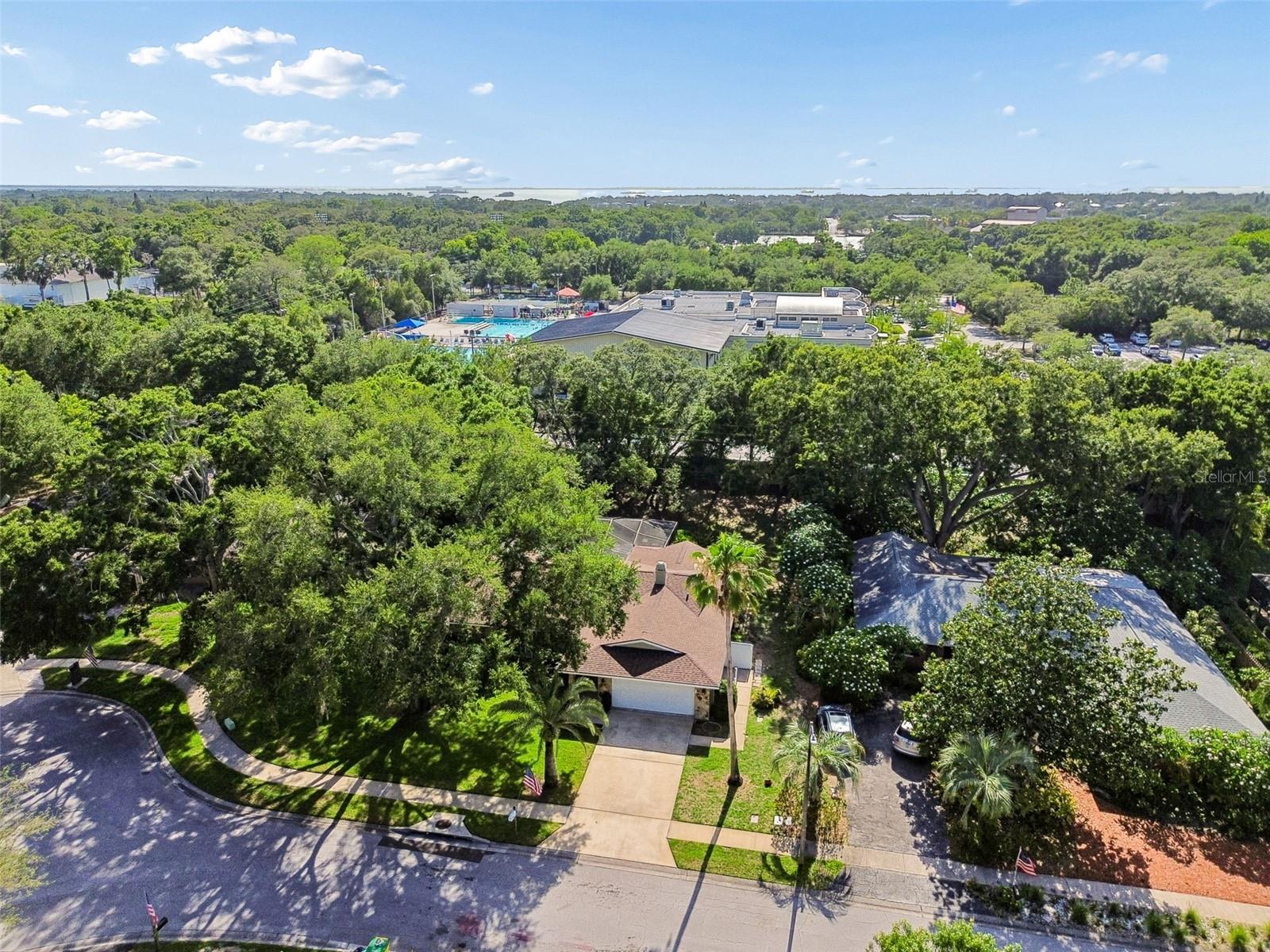 515 SANDY HOOK RD, PALM HARBOR, FL, 34683