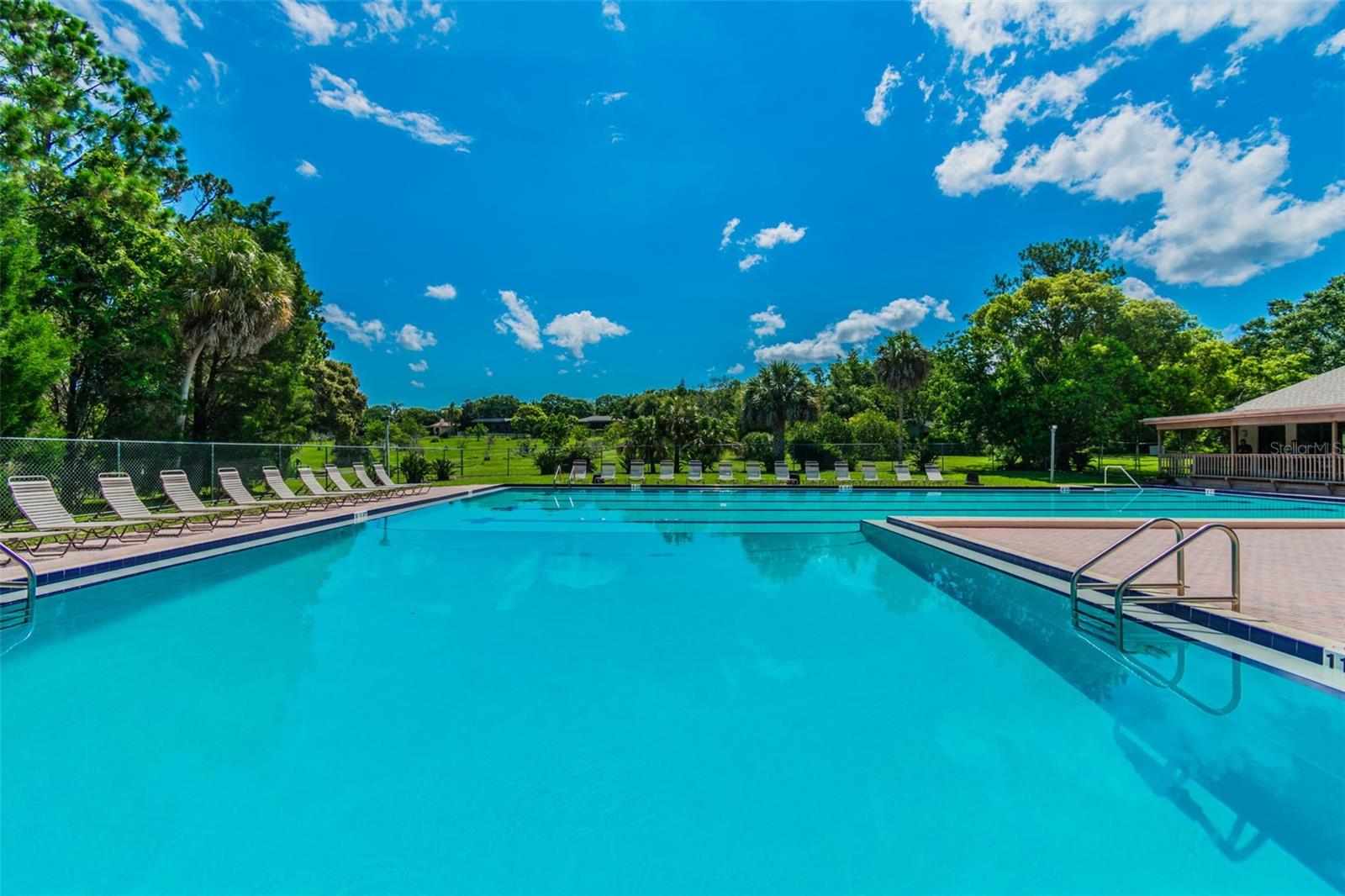 515 SANDY HOOK RD, PALM HARBOR, FL, 34683